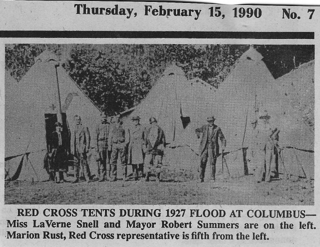 CS 4 The cat in the pillowslip